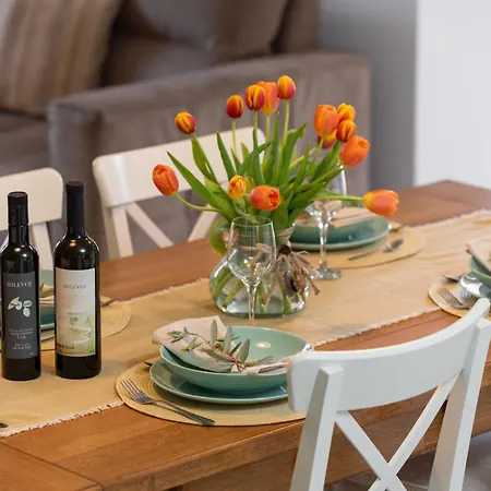 Olea Ferienhaus Labin (Istria)
